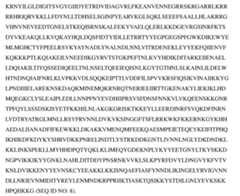 Figure imgf000101_0001