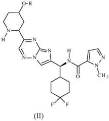 Figure imgf000009_0001