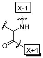 Figure imgf000005_0001