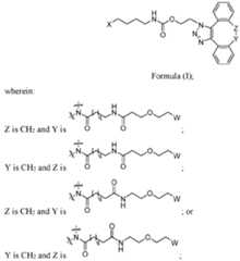 Figure imgf000004_0001