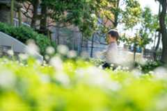 ボケの作例 前ボケ