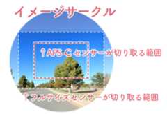 フルサイズとAPS-Cの違い