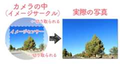 フルサイズとAPS-Cの違い