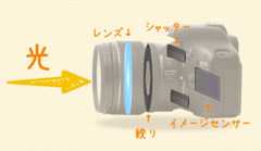 カメラの断面 イメージセンサー