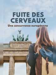 Fuite des cerveaux : une concurrence européenne