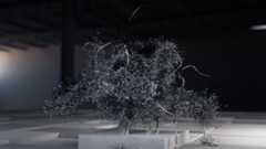 PlotOptiX screenshots, ray tracing for generative art