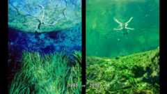 has-let-our-baseline-for-acceptable-quality-shift-progressively-down-its-time-to-stop-the-decline-1024x576-1