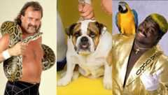 Jake "The Snake" Roberts with his reptilian counterpart Damian, The British Bulldogs' Matilda, and Koko B Ware with his beloved bird, Frankie.