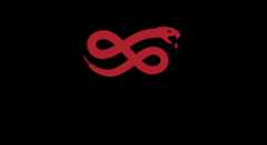 Slither Static Analysis Framework Logo