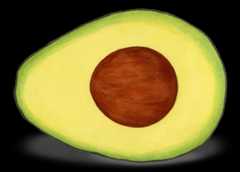Avocado