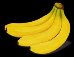 Bananas