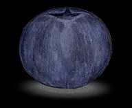 Blueberry