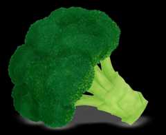 Broccoli