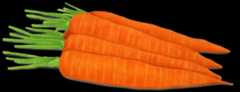 Carrots