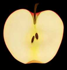 Cut Apple
