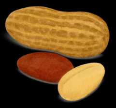 Peanuts