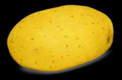 Potatoes