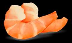 Shrimp