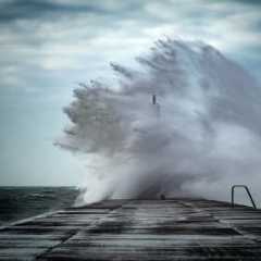 Catastrophe Risk Tolerance Study