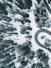 Reinsurance Market Dynamics