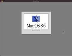 Screen Shot 2024-02-08 at 12.49.10 PM 1.png