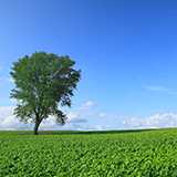 人の意見に「それは理想論です」とか言い始めてしまうと、まずそれが理想論かどうかの議論が始まってしまうので建設的ではないのではないでしょうか。 人の話にレッテルを貼らずに何が適切かという話の内容で語ればいいと思うのですが。