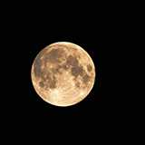 宇宙は無重力で上・下・右・左が無いと思うのですが、だれが地球は北極が上と決めたのですか?南極が上でもおかしくないと思うのですが・・・だれか教えて下さい。宜しくお願い致します。