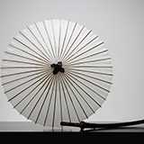 狂言を見始めました。〜流とかいくつかありますが、事情がよくわかりません。 最近狂言を見ています 野村萬斎は、花の乱やのぼうの城、どうする家康などあちこちで見かけて知ってるけれど、他は全く知らない程度の知識です。 20作ほど見ましたが、野村萬と、野村万蔵が好きです。 各流派ごとの特色や方針とか、持ち味があれば教えて欲しい又はそう言うのがわかるサイトがあれば教えてください 和泉元彌氏と、そのお母さん含むご一家は、いつかの騒動で、マスコミは何やら強気なお母さんと狂言業界で揉め事を引き起こしてる、みたいなネガティブな印象でしたが、狂言通な方的には元彌氏の実力とか、当時のあの件とか、どんな評価なんでしょうか。 プロレスとか変わったことしたり、女性狂言師など、他の方のところと比べるとなんか個性的なような…?