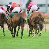 シャティン競馬場 1,200メートル スタートから3角まで何メートル?