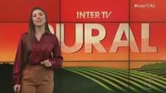 Inter TV Rural: veja a edição completa deste domingo, dia 31 de agosto de 2025 - Programa semanal traz as notícias do campo.