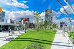 商業施設の屋上。芝生の近くに置かれたベンチは座面がメッシュ状になっています