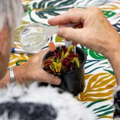 Enhance Your Community Visit