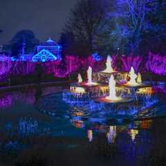 Cambridge Botanic Lights 2025