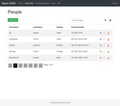 BlazorCrud Search Page