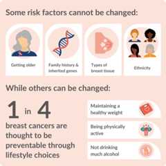 Some risk factors cannot be changed:- Getting older, family history & inherited genes, types of breast tissue, ethnicityWhile others can be changed:- 1 in 4 breast cancers are thought to be preventable through lifestyle choices- Maintaining a healthy weight Being physically active- Not drinking much alcohol