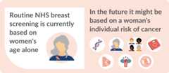 Routine NHS breast screening is currently based on women's age aloneIn the future it might be based on a woman's individual risk of cancer