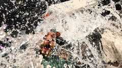 Image thumbnail