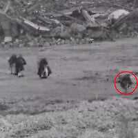 Palestinian terror operatives are seen approaching Israeli troops in the northern Gaza Strip, in footage published by the military on February 14, 2026. (Israel Defense Forces) Palestinian terror operatives are seen approaching Israeli troops in the northern Gaza Strip, in footage published by the military on February 14, 2026. (Israel Defense Forces)