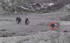 Palestinian terror operatives are seen approaching Israeli troops in the northern Gaza Strip, in footage published by the military on February 14, 2026. (Israel Defense Forces) Palestinian terror operatives are seen approaching Israeli troops in the northern Gaza Strip, in footage published by the military on February 14, 2026. (Israel Defense Forces)