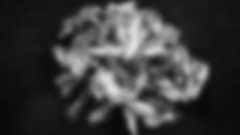 My Cause My Cleats: Vikings Represent Nonprofits in Style