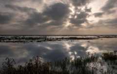 Imagen de las marismas de Doñana después de un episodio de lluvias. Imagen de las marismas de Doñana después de un episodio de lluvias.