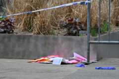 Azzarello reportedly threw pamphlets in the park before self-immolating on Friday