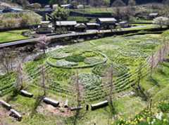 道の駅明宝がおすすめ!せせらぎ街道・郡上八幡周辺・下呂周辺・岐阜県郡上市明宝小川の観光スポット!お花見スポット緑水庵