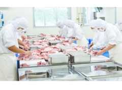 岐阜県郡上市・郡上八幡のおすすめ周辺観光スポット!明宝ハムの工場見学【解体作業風景】