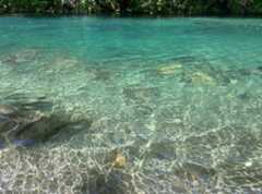 せせらぎ街道・郡上八幡周辺・郡上市明宝の観光スポット、道の駅明宝・磨墨の里公園・癒しスポット、吉田川