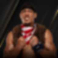 AR FOX
