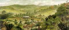 Picturesque view of North Island sheep and cattle farming, early 20th century