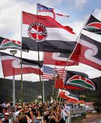 Māori flags at Waitangi Day, 2008