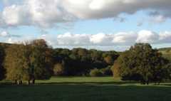 Londesborough Park - geograph.org.uk - 590097