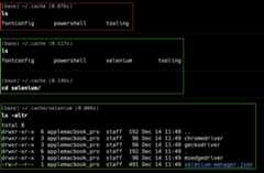 CMD_Selenium_Manager